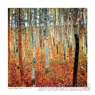 Forest of Beech Trees, c.1903