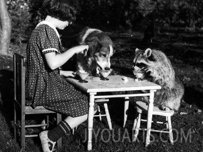 claire shorrock giving ice cream party with pet dog and raccoon