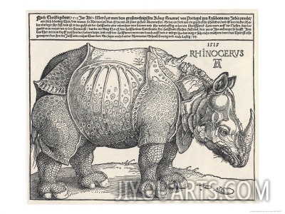 The Indian Rhinoceros is the Largest of the Asian Spiecies