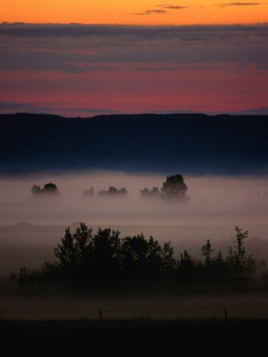 rick rudnicki mist over countryside calgary canada