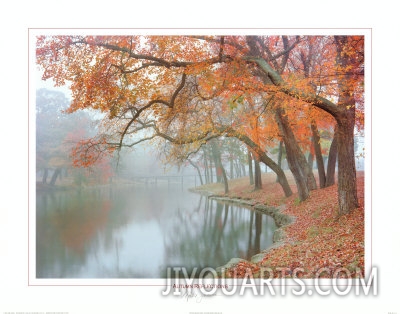 mike jones autumn reflections