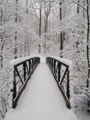 richard nowitz a view of a snow covered bridge in the woods