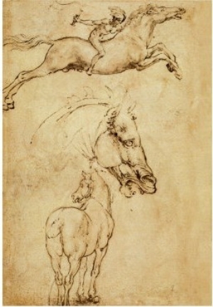 Sketch of a Horse