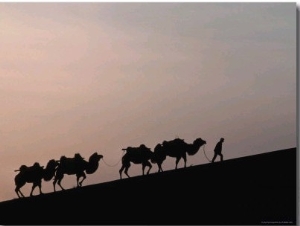 Camel Caravan Silhouetted at Dawn on the Silk Road, Dunhuang, China