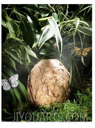 A Fossilized Dinosaur Egg, Probably of the Sauropod Hypselosaurus