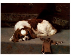 King Charles Spaniel Resting