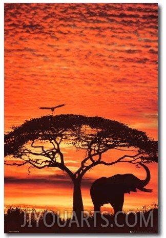 African Sunset