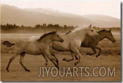 Horse Trio