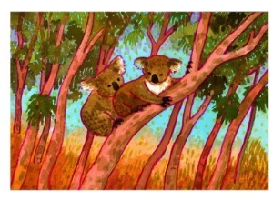 Koalas