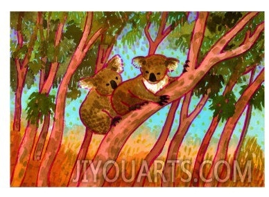 Koalas