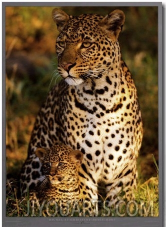 Leopard with Infant at Masai Mara, Kenya