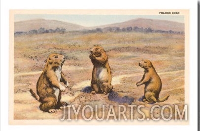 Three Prairie Dogs