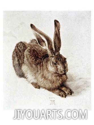 The Young Hare