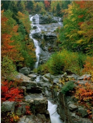 A Stream Runs Swiftly over Rocks