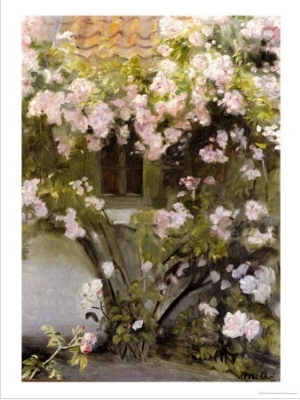 Climbing Roses, 1912