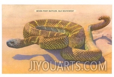 Seven Foot Rattler, Ole Southwest