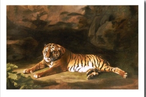 Portrait of the Royal Tiger, circa 1770