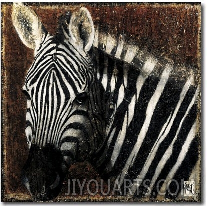 Zebra Portrait