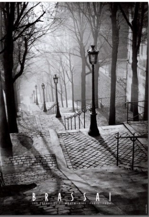 Les Escaliers de Montmartre, Paris