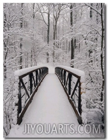 A View of a Snow Covered Bridge in the Woods