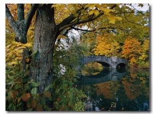 Autumnal View of a Stone Bridge