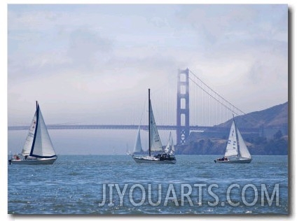 Sailing Boats with the Golden Gate Bridge and Summer Fog in Background, San Francisco, California