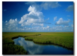 Marsh Canal in Oyster Bayou