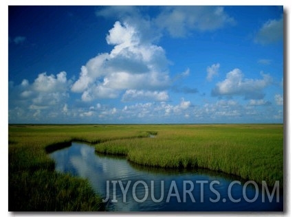 Marsh Canal in Oyster Bayou