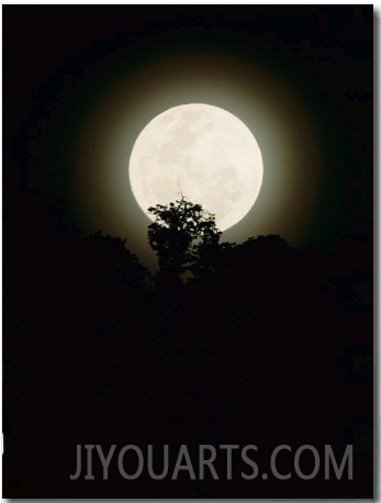 Moonrise in Parc Des Volcans