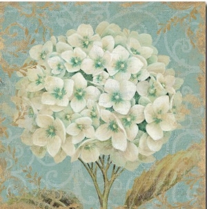 Hydrangea Square II