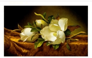 Magnolias on Gold Velvet Cloth