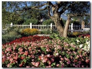 Garden at Prescott Park, New Hampshire, USA