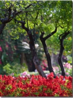 Garden Detail, San Domenico Palace Hotel, Taormina, Sicily, Italy