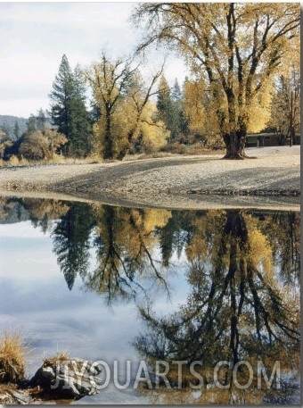 Autumn Leaves Growing Along a Gravel Riverbank Add Color to the Sacramento River