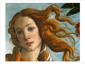 The Birth of Venus (Head of Venus), 1486