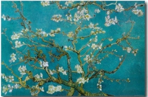 Almond Blossom