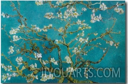 Almond Blossom