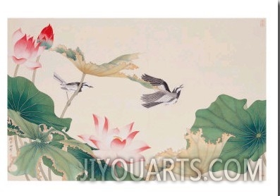 Birds by Lotus Pond