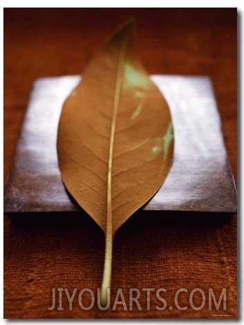 Sepia Leaf