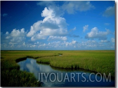 Marsh Canal in Oyster Bayou