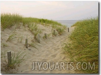 Path at Head of the Meadow Beach, Cape Cod National Seashore, Massachusetts, USA