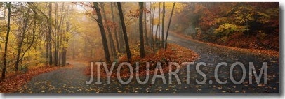 Winding Road Through Mountainside in Autumn, Monadnock Mountain, New Hampshire, USA