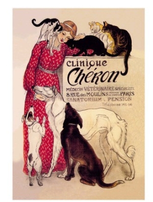 Clinique Cheron, Veterinary Medicine and Hotel