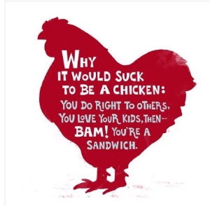 Sucks to Be a Chicken