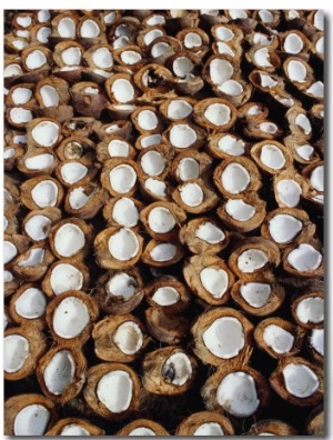 Coconuts Drying Beside Road in Candidasa, Candidasa, Bali, Indonesia