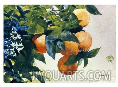 Oranges on a Branch, 1885