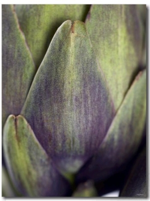 An Artichoke