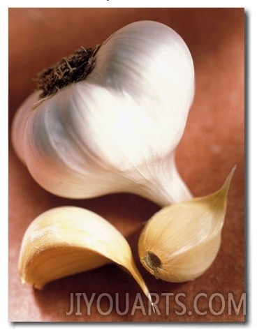 Garlic