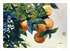 Oranges on a Branch, 1885