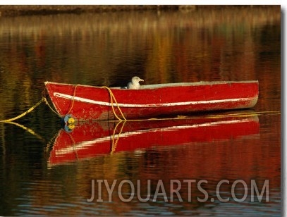 A Gull Rests on an Old Rowboat